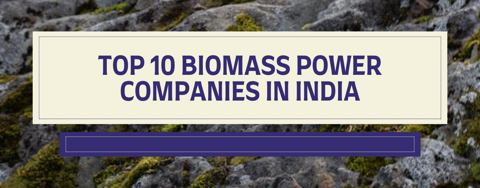 Top 10 Biomass Power Companies in India