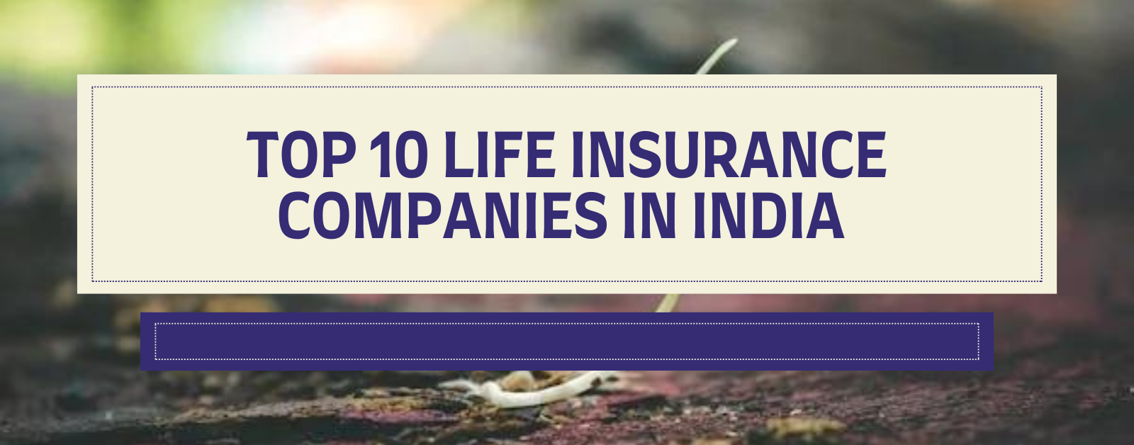 Top 10 Life Insurance Companies in India